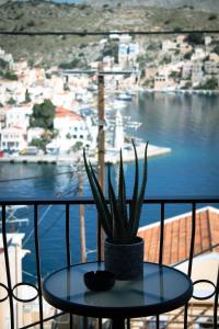 Fotografie z fotogalerie ubytování Duchess Harbour View v destinaci Symi