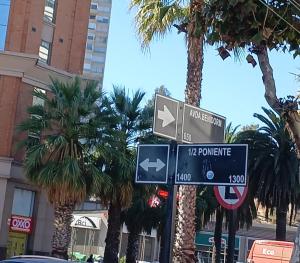 Fotografie z fotogalerie ubytování El Retorno a Viña v destinaci Viña del Mar