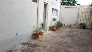 einen Innenhof mit Topfpflanzen an der Seite eines Gebäudes in der Unterkunft America in San Miguel de Tucumán + 5 Fotos