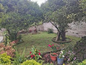 Zahrada ubytování Casa el Rey