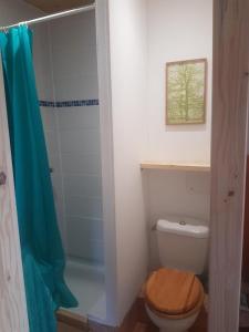 a bathroom with a toilet and a shower at Gîte le plan in Saint-Martin-de-Lansuscle