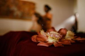 Fotografie z fotogalerie ubytování Thaulle Ayurveda Resort - Yala v destinaci Tissamaharama