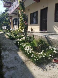 Vrt pred nastanitvijo Peace Guest House