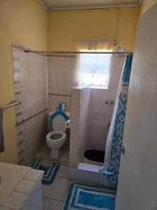 een kleine badkamer met toilet en douche bij Bagatelle Terrace in Saint James