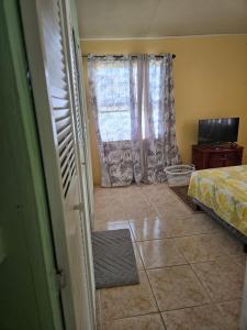 een slaapkamer met een raam met een bed en een televisie bij Bagatelle Terrace in Saint James