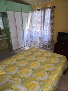 een slaapkamer met een bed met bloemen erop bij Bagatelle Terrace in Saint James +2 foto's