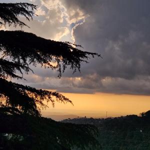 Příroda nedaleko hotelu + 26 fotografií
