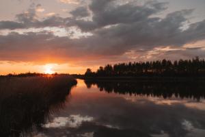 Φυσικό τοπίο κοντά σε αυτό το πλωτό κατάλυμα +4 φωτογραφίες
