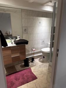 un bagno con lavandino e WC di Charmant studio au coeur de Vichy a Vichy