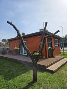 a tree in the yard of a house at Palusalu puhkemaja in Haapsalu