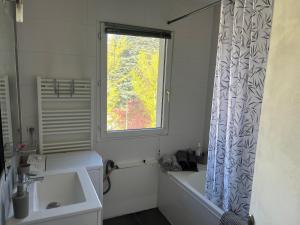 Ένα μπάνιο στο Confortable appartement au coeur de ville à deux pas du lac