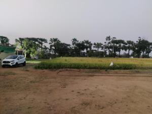 Zahrada ubytování GuestOwnFarm