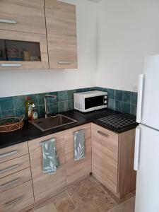 a kitchen with a sink and a microwave at Charmant T1 en Provence Verte in Carcès