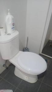 a bathroom with a white toilet in a room at Crystal Heights Cozy House in Tupai