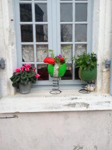 a window with two flower pots on a window sill at La maison aux livres in Rioux-Martin +6 photos