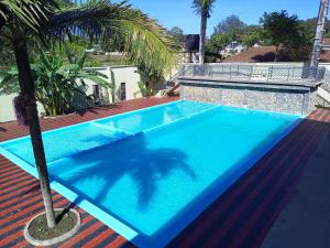 a blue swimming pool with a palm tree on a roof at Lush Garden Hostel in Arusha