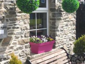 a bench in front of a window with a flower pot at White Hart Llandeilo in Llandeilo