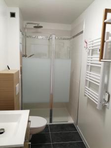 a bathroom with a shower and a toilet and a sink at Le Patio Quend-Plage in Quend