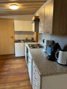 eine Küche mit Theke und Herd oberen Backofen in der Unterkunft Ferienwohnung Monteurswohnung für 1 bis 8 Personen in Diebach