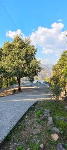 a road with a tree on the side of the road at Vantara Resort in Patwa Dunga +7 photos