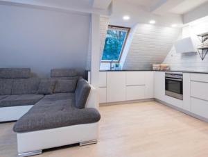 Η κουζίνα ή μικρή κουζίνα στο Apartamentai Pervalkoje