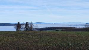 Příroda nedaleko apartmánu + 2 fotografie