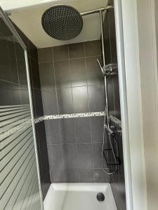 a bathroom with a shower with a bath tub at Charmante maison basque entre ville et campagne in Arcangues +26 photos