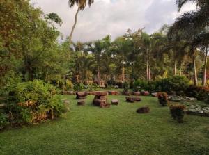 Zahrada ubytování Candela Garden