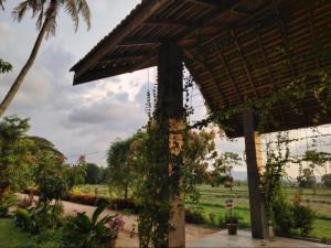 Zahrada ubytování Candela Garden