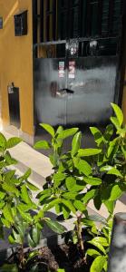 une porte métallique devant un bâtiment avec des plantes vertes dans l'établissement Home Liuccia, à Palerme