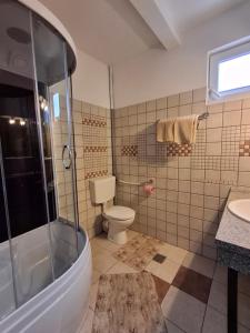 a bathroom with a toilet and a shower and a sink at Pensiunea TOTAL Ceahlau in Ceahlău +25 photos