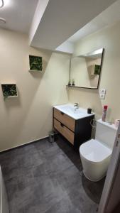 a bathroom with a sink and a toilet and a mirror at Charmant t2 idéal Curiste 1min à pied de la cure thermale in Le Boulou