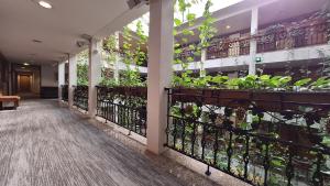 Balkón nebo terasa v ubytování Solitaire Hotel