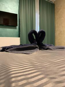 Fotografie z fotogalerie ubytování Neversea house v destinaci Constanţa