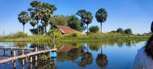 un bacino d’acqua con una casa e palme di Bar Ang Guesthouse a Battambang