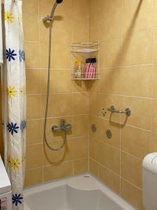 a bathroom with a shower with a tub and a toilet at Apartment RENA - private parking in Sarajevo