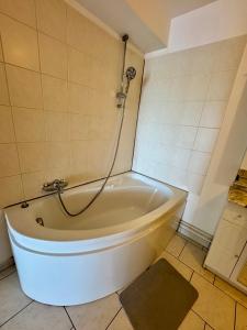a bath tub with a shower in a bathroom at La Terrasse vue étangs, Babyfoot, jeux de société by BookingFuté in Socourt