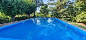a blue swimming pool with trees in the background at Finca Los Franciscos in Junín