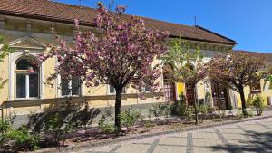 Zahrada ubytování Nagymaros Apartman