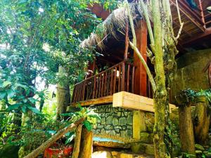 Zahrada ubytování Jungle Face Inn