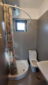 a bathroom with a toilet and a shower curtain at House for us Vinci 1 in Vinci +5 photos