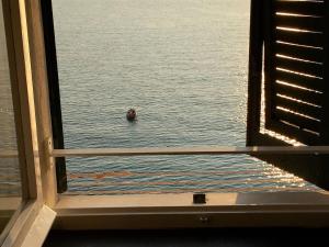 Φυσικό τοπίο κοντά σε αυτό το διαμέρισμα