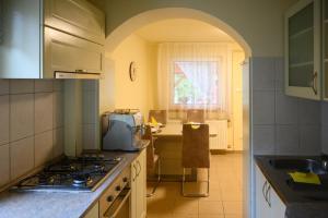 a kitchen with a sink and a stove top oven at Szilvia Vendéghàz in Szarvas