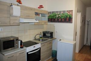 アテネにあるCozy Mezonette near City Center Athens near Metroのシンクと電子レンジのある小さなキッチン