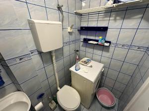 Koupelna v ubytování Apartman Nenezic