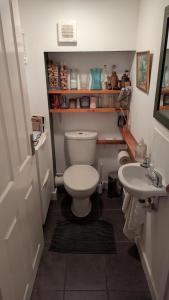 un piccolo bagno con un water e un lavandino di Rose Cottage a Ledbury Altre 34 foto