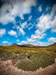 Gallery image of APPARTAMENTO DA GIOVANNI - Terrasse - Küche - Klima - Parken in Alghero airport +28 photos