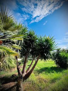 Gallery image of APPARTAMENTO DA GIOVANNI - Terrasse - Küche - Klima - Parken in Alghero airport