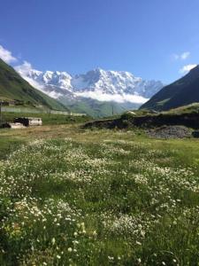 a field of flowers with mountains in the background at Mountain house in Ushguli