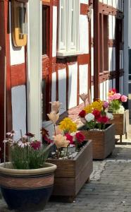 Φωτογραφία από το άλμπουμ του Bella Haus close to Frankfurt Messe σε Dreieich